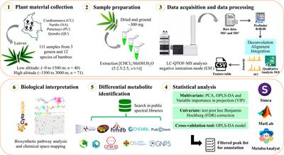 Untargeted metabolomics approach and molecular networking analysis reveal changes in chemical composition under the influence of altitudinal variation in bamboo species